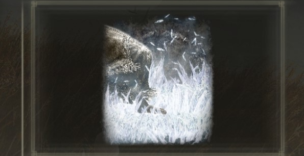 艾尔登法环DLC神兽冻霜踏地怎么获得