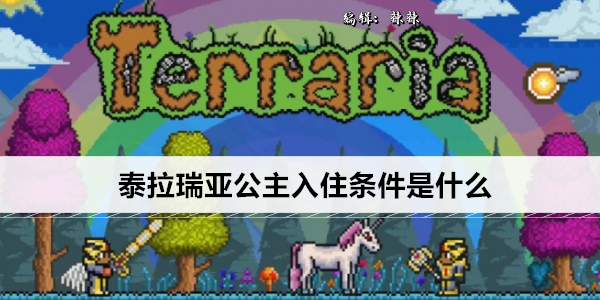 泰拉瑞亚公主入住条件是什么