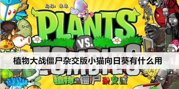 植物大战僵尸杂交版小猫向日葵有什么用