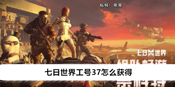 七日世界工号37怎么获得