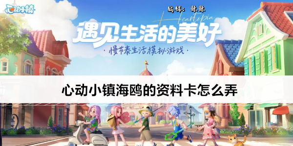 心动小镇海鸥的资料卡怎么弄