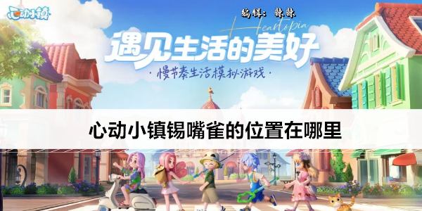 心动小镇锡嘴雀的位置在哪里