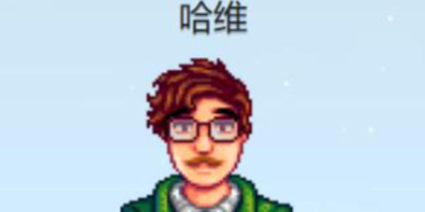 星露谷物语哈维行程表一览