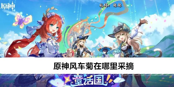 原神风车菊在哪里采摘