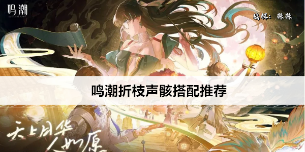 鸣潮折枝声骸搭配推荐