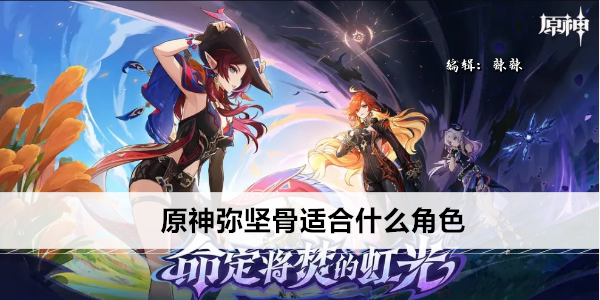 原神弥坚骨适合什么角色