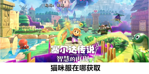 塞尔达传说智慧的再现猫咪服在哪获取