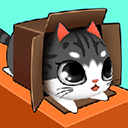 盒子里的猫