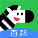 斑马百科APP