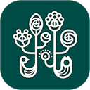 野兽派官方版APP