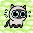 冒险猫游戏
