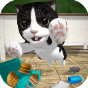 小猫模拟器
