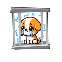 翻滚狗狗