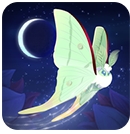 彩翼之星夜