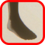 重金属螂人杀JK