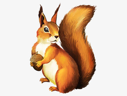 飞行小松鼠