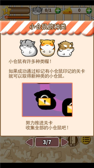 仓鼠的生活