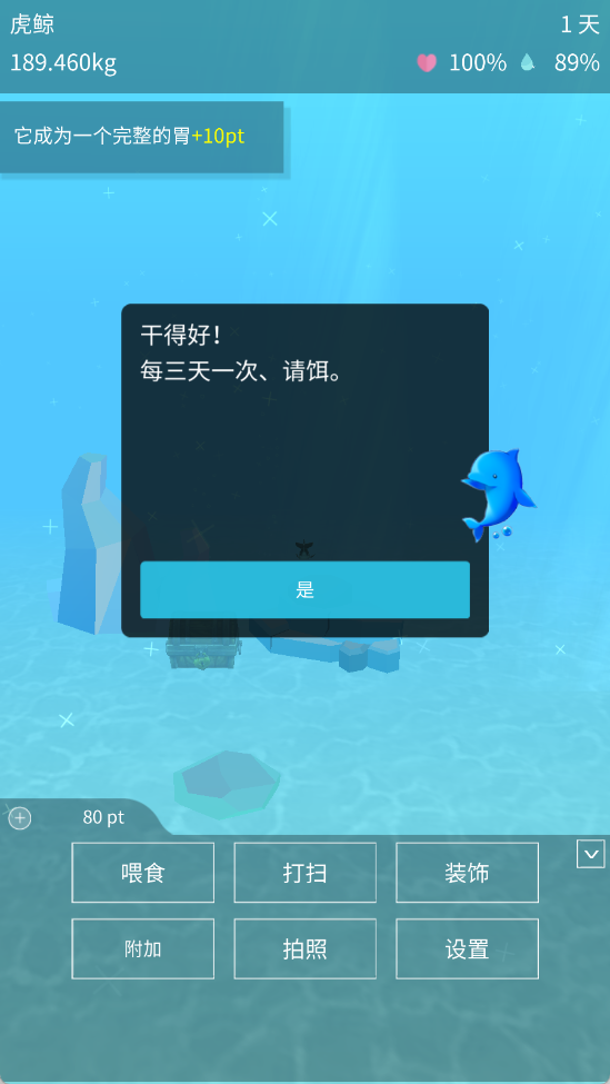 虎鲸养成