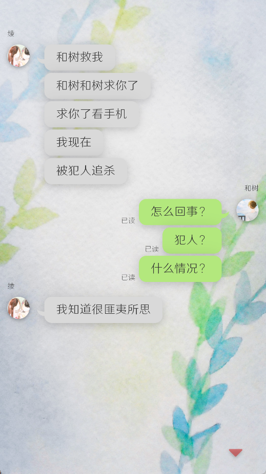 我的女友被追赶