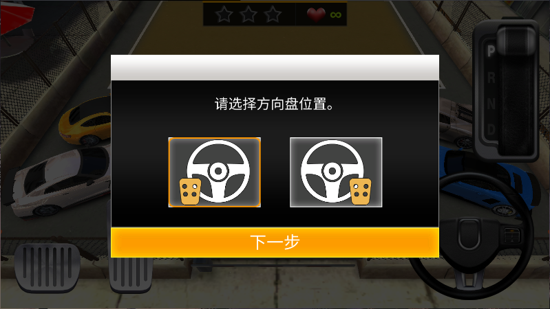 真实停车高手