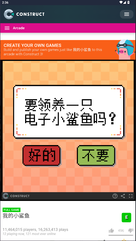我的小鲨鱼