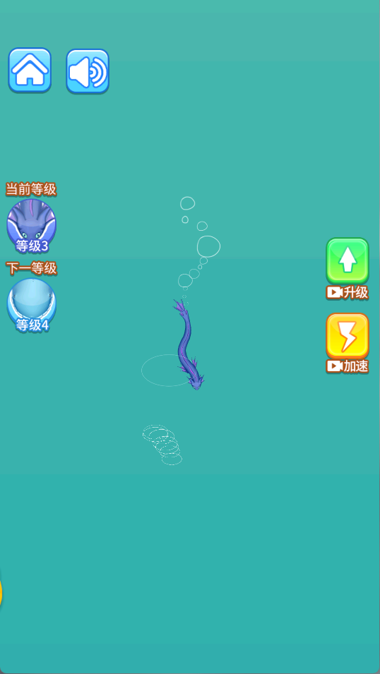美味海洋进化