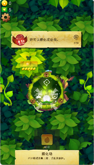 彩翼蝴蝶