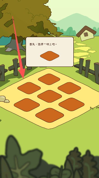 有机蔬菜农场