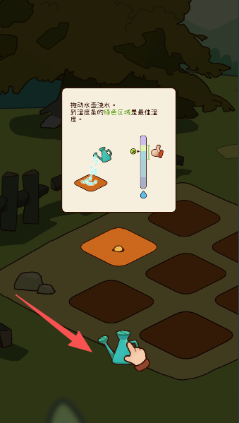 有机蔬菜农场