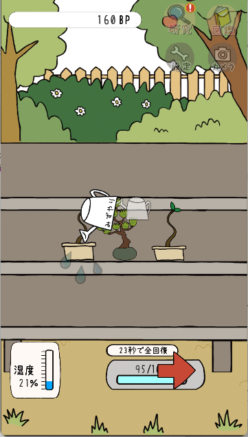 盆栽大师