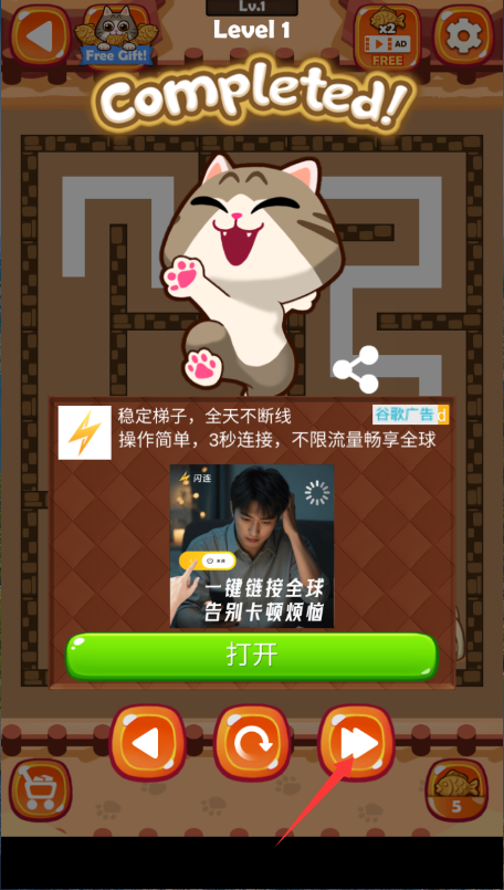 迷宫猫