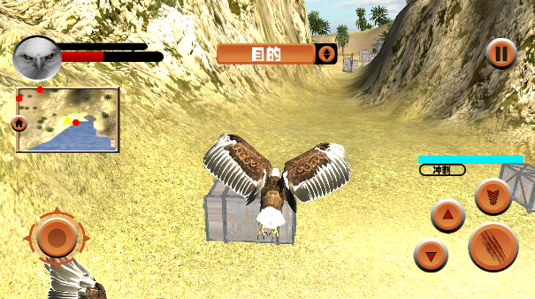 老鹰模拟器官方版