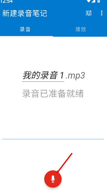 Easy Voice Recorder Pro