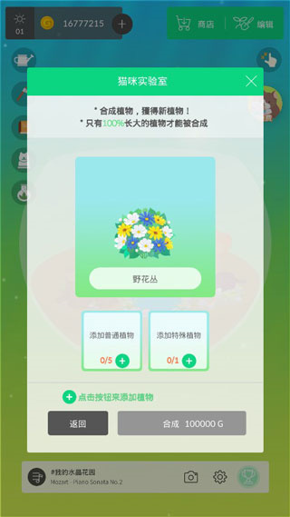 我的水晶花园手游