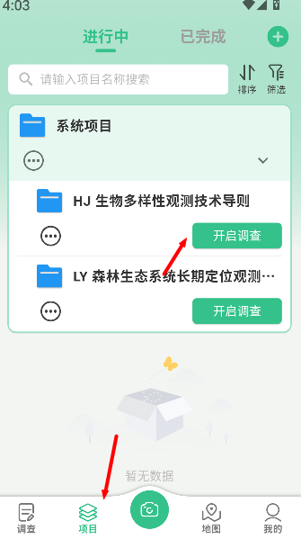 北极花生物调查