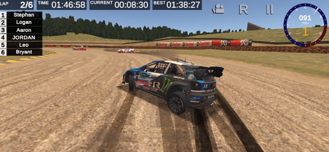 Dirt Rallycross