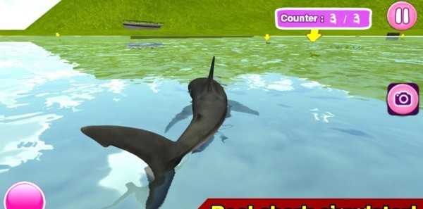 鲨鱼模拟器