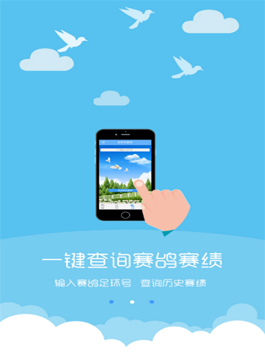 中鸽网直播网app