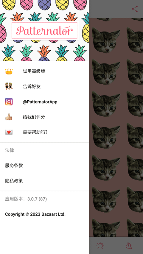 patternator下载中文版