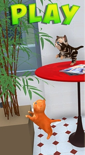 沙雕猫模拟器