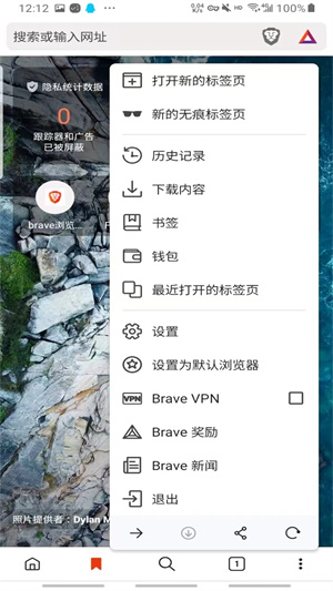 brave浏览器