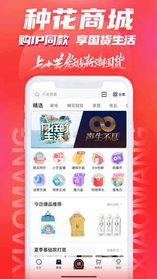 小芒v5.5.3