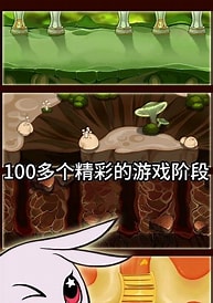 披萨上的霉兄