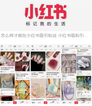 小hongshu安卓