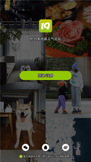 19楼
