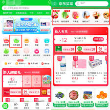 京东到家买菜app