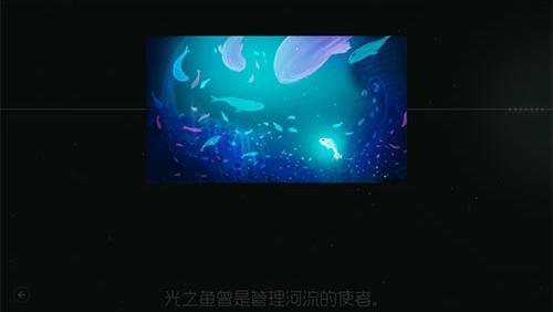 鲤