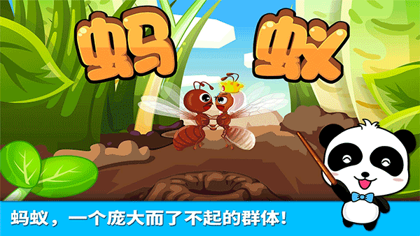 宝宝巴士认蚂蚁