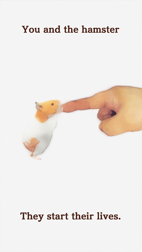 我的仓鼠游戏