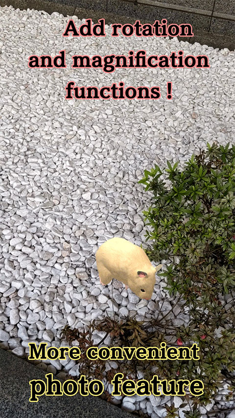 我的仓鼠游戏